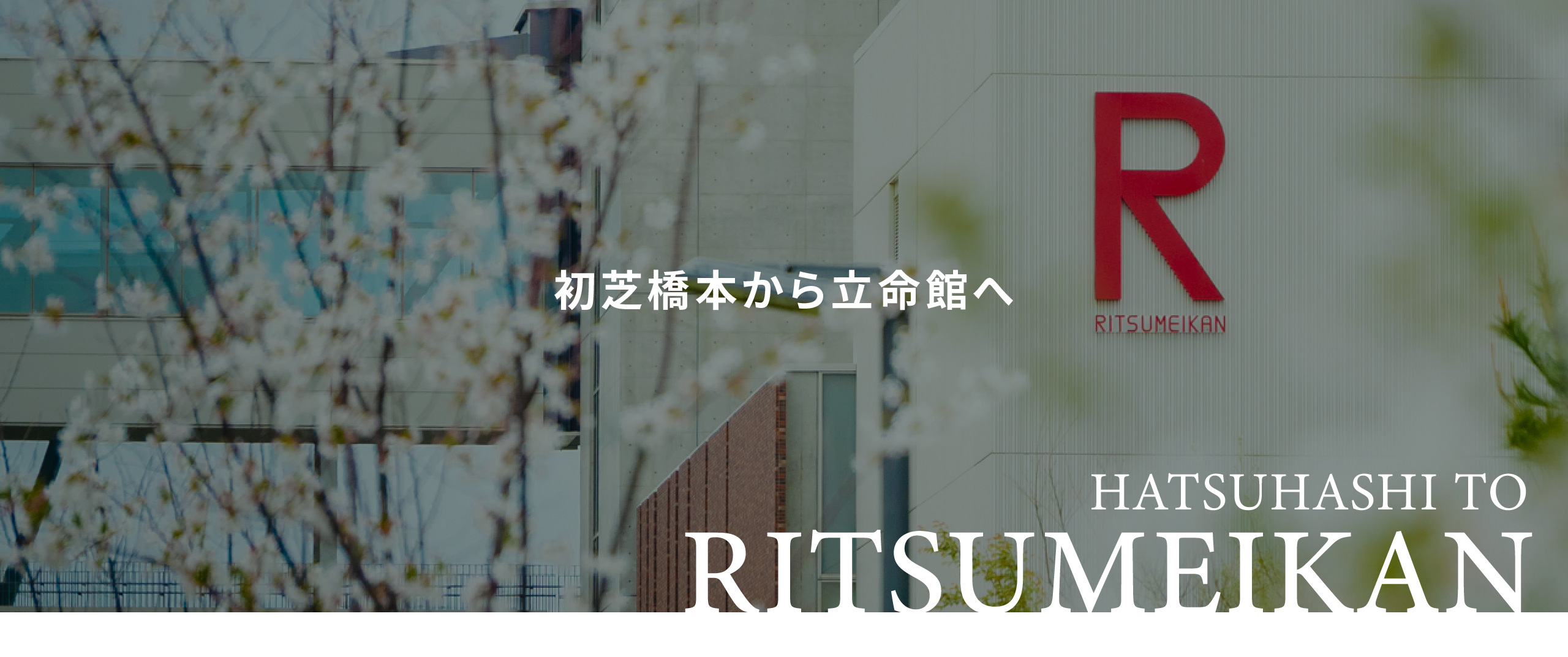 初芝橋本から立命館へ