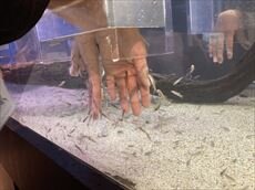 16)2日目水族館２_R.JPG