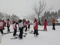 PXL_20250212_054507693_R.jpg