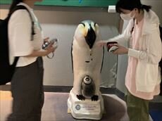 17)2日目水族館３_R.JPG