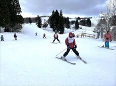 IMG_2279_R.JPG