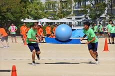 IMG_7120_R.jpg