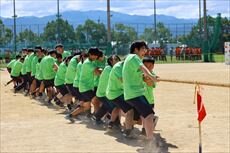 IMG_7306_R.jpg