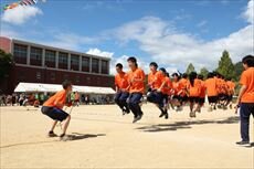 IMG_7571_R.jpg