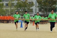IMG_8051_R.jpg