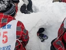 PXL_20250213_063541908_R.jpg