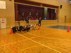 右馬 (4)_R.JPG