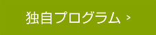 独自プログラム