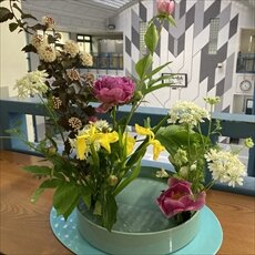 IMG_0062_R.JPG