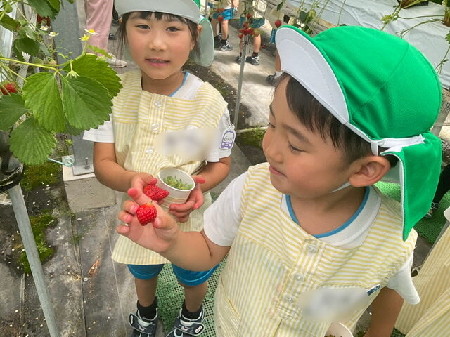 1DEC34C2-B5A7-406C-B86D-648225D484E1.jpeg