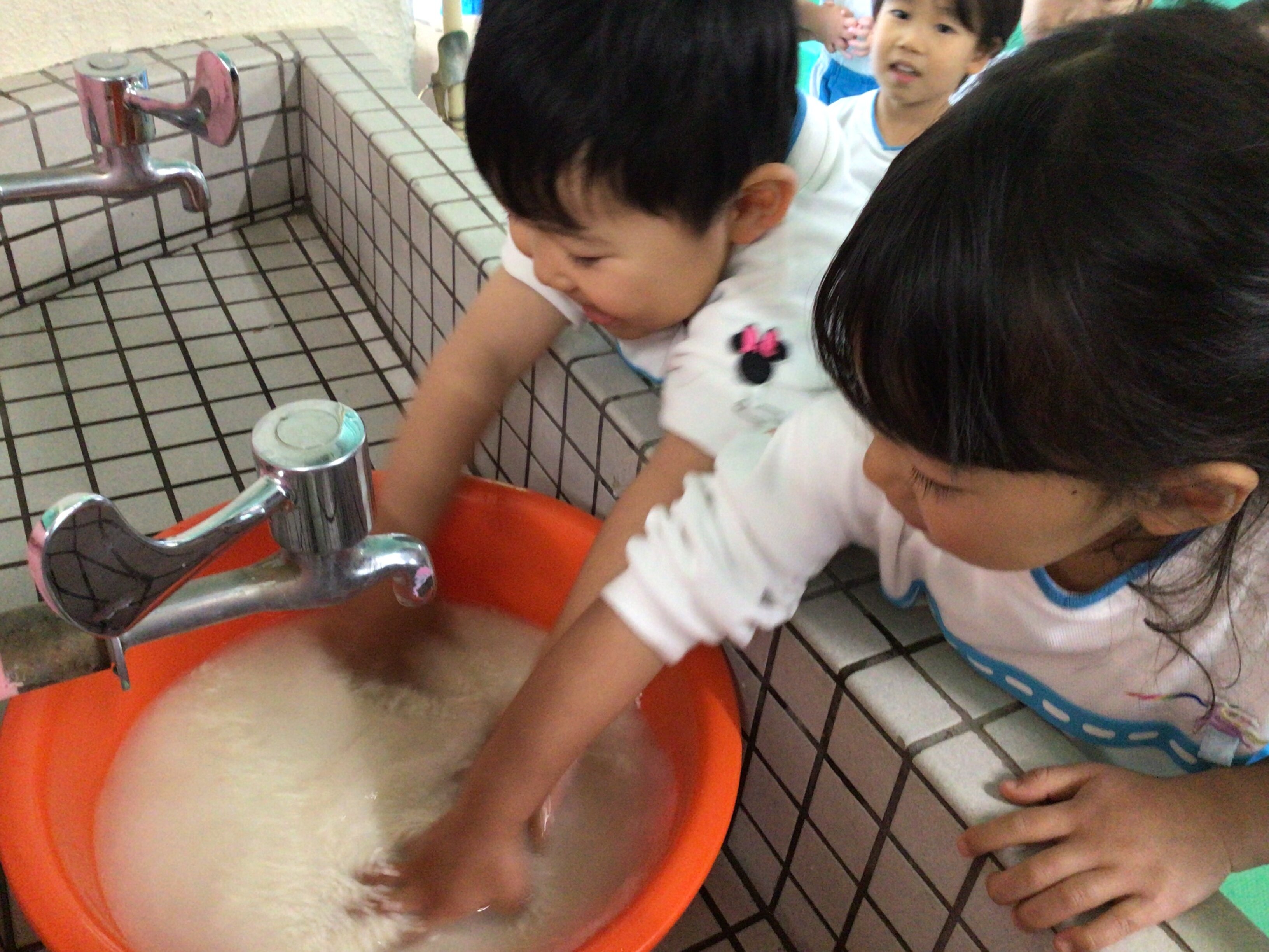 4CBCC0B3-066E-4C66-91D3-C4C61DB9B7B9.jpeg