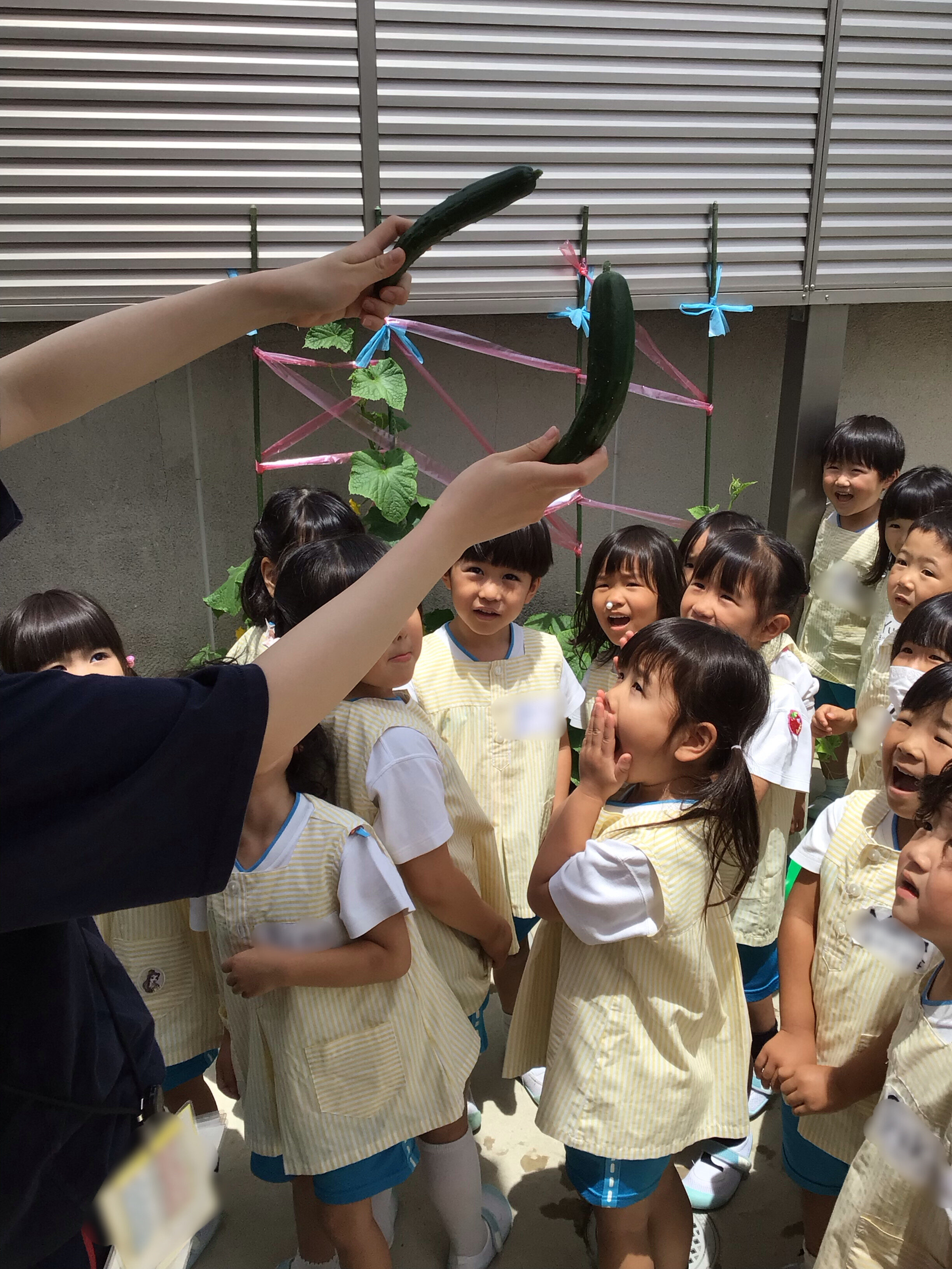 IMG_5218.jpeg