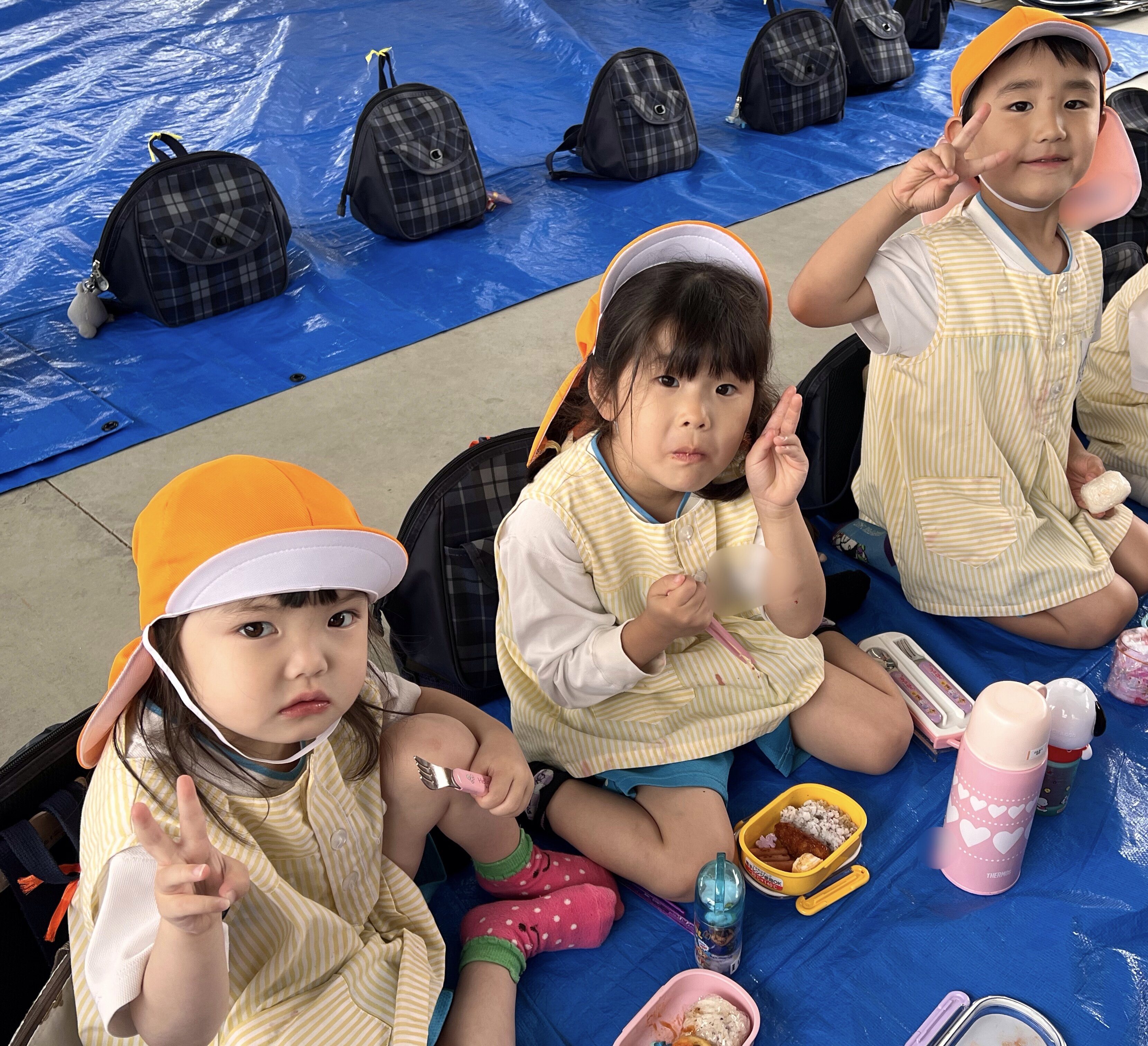 D7251F3D-C9BB-441C-AD31-62E56275CC3A.jpeg