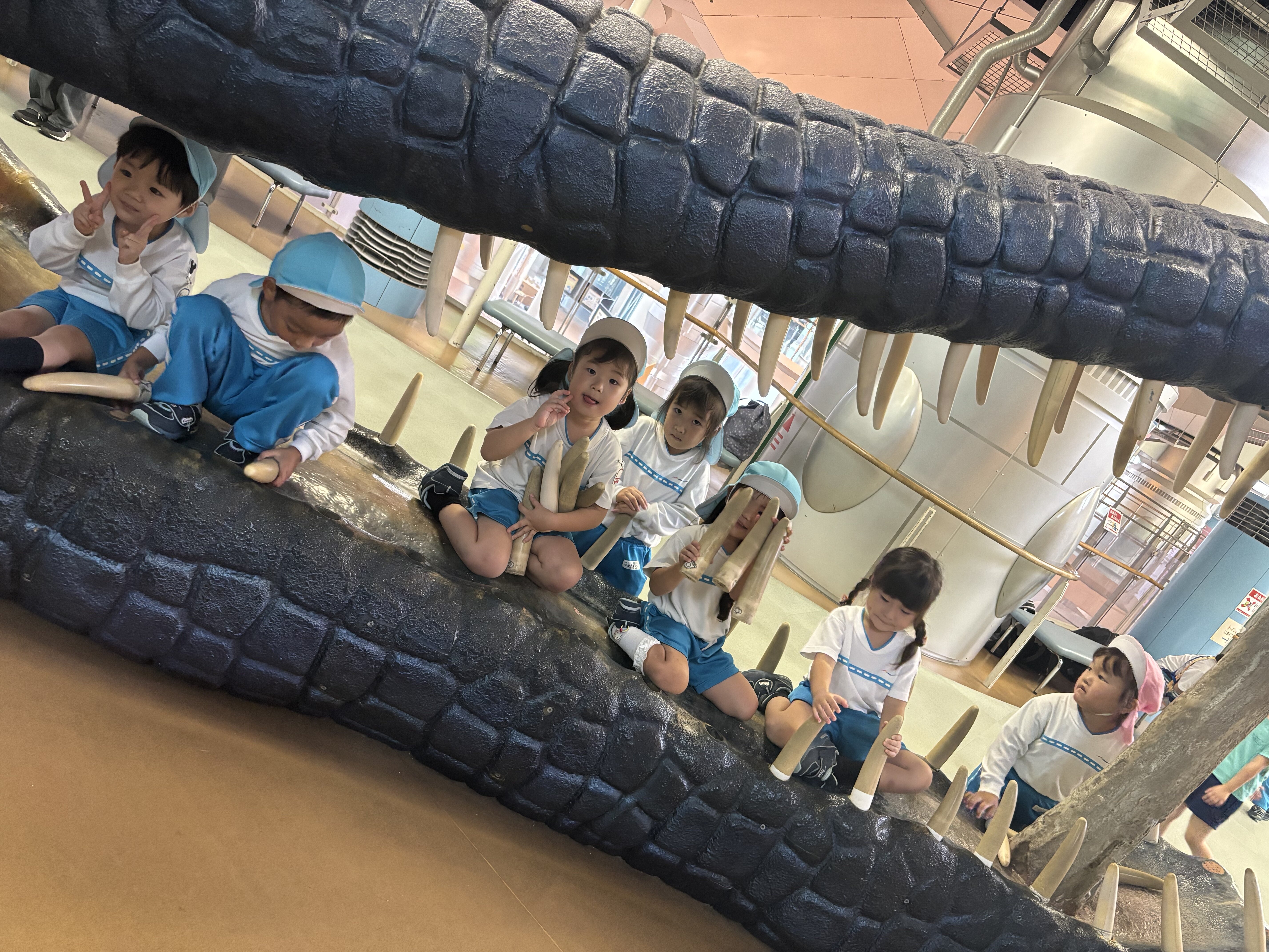 D9E3AAD6-6003-4F8A-9FDD-9590EB9E0885.jpeg