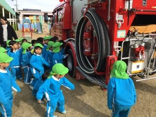 IMG_6989.jpeg