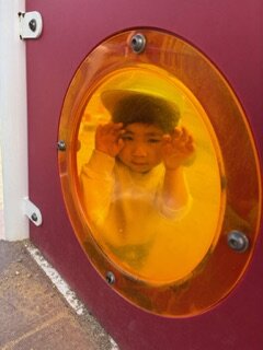 IMG_7568.jpeg