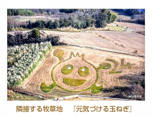 大きい汰アマ.jpg