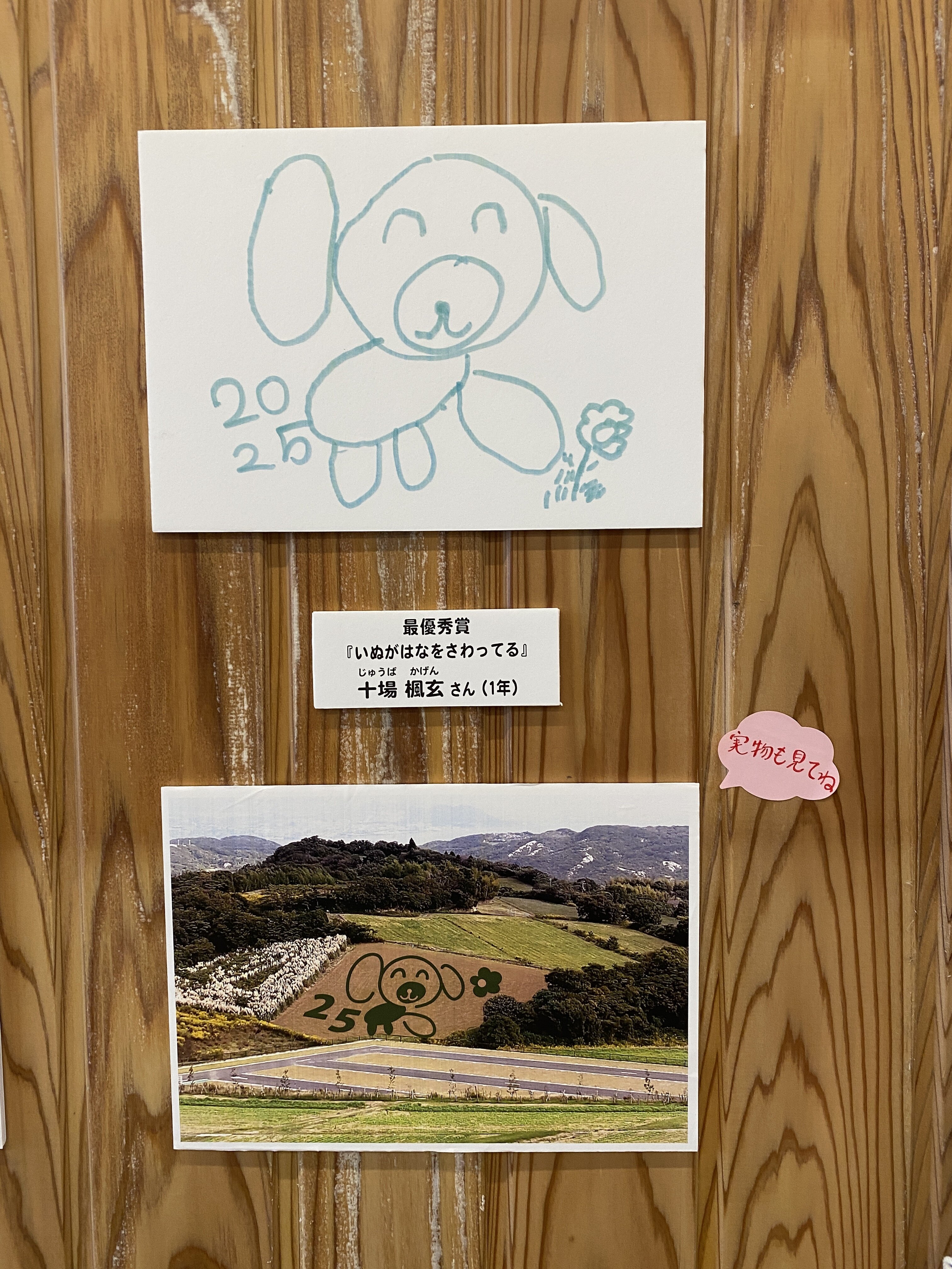 IMG_2827.jpeg