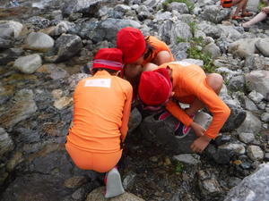 DSCF8104.JPG