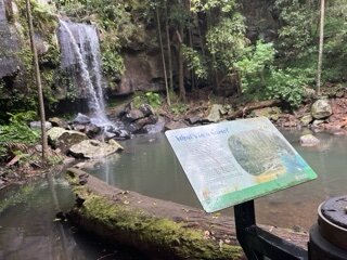 IMG_9394.jpeg