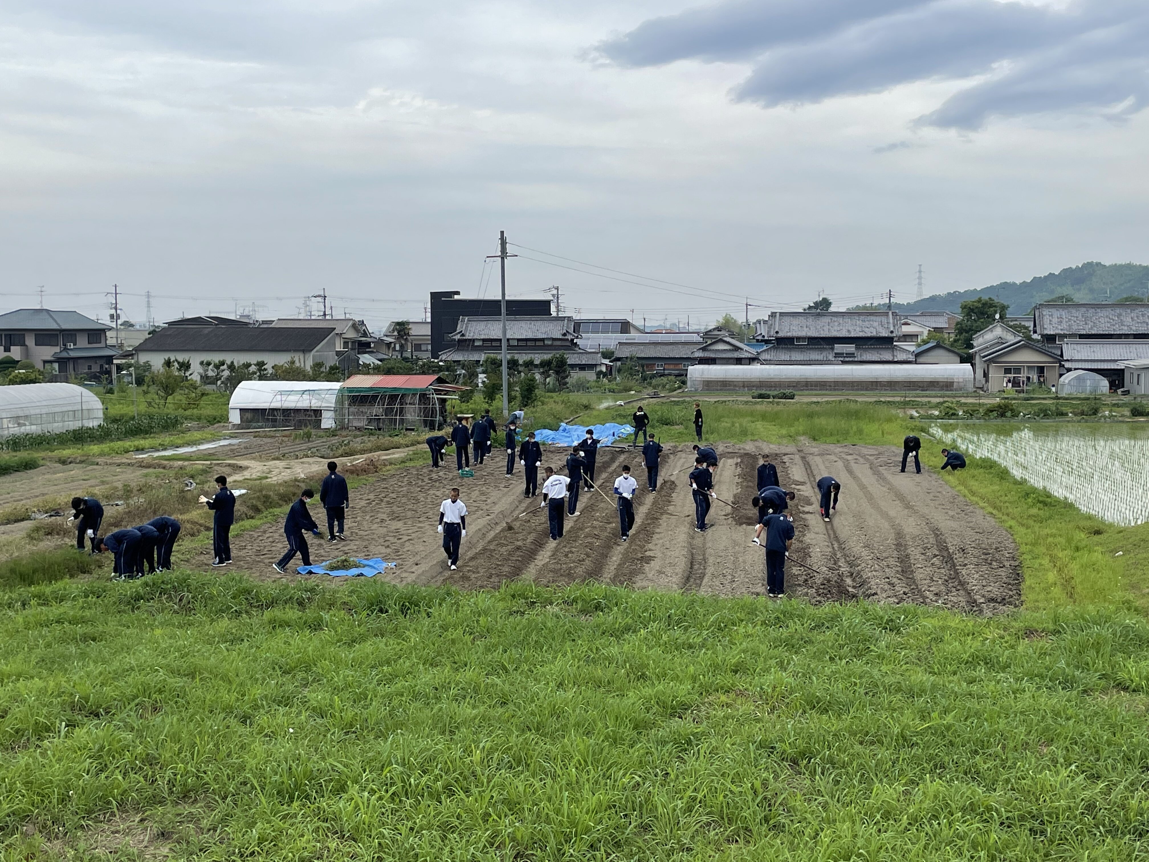 スポーツドリームビィジョン〜食育・農業・起業家・地域創生・リアルビジネス・ボランティア編〜ついに農業も始動が実現しました❣️〜