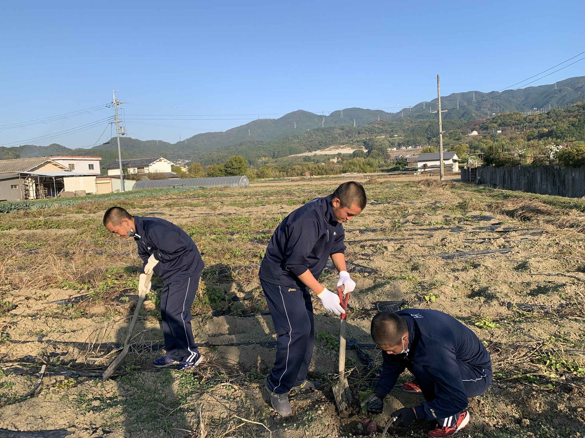 https://www.hatsushiba.ed.jp/ritsumeikan/life/3D356384-7D7B-4D5B-9B23-C376537D69CC.jpeg