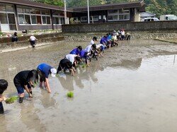 田植え体験1.jpg