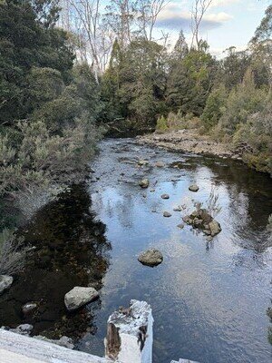 IMG_3339.jpeg
