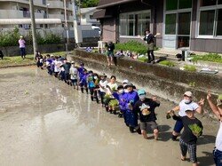 田植え体験2.jpg