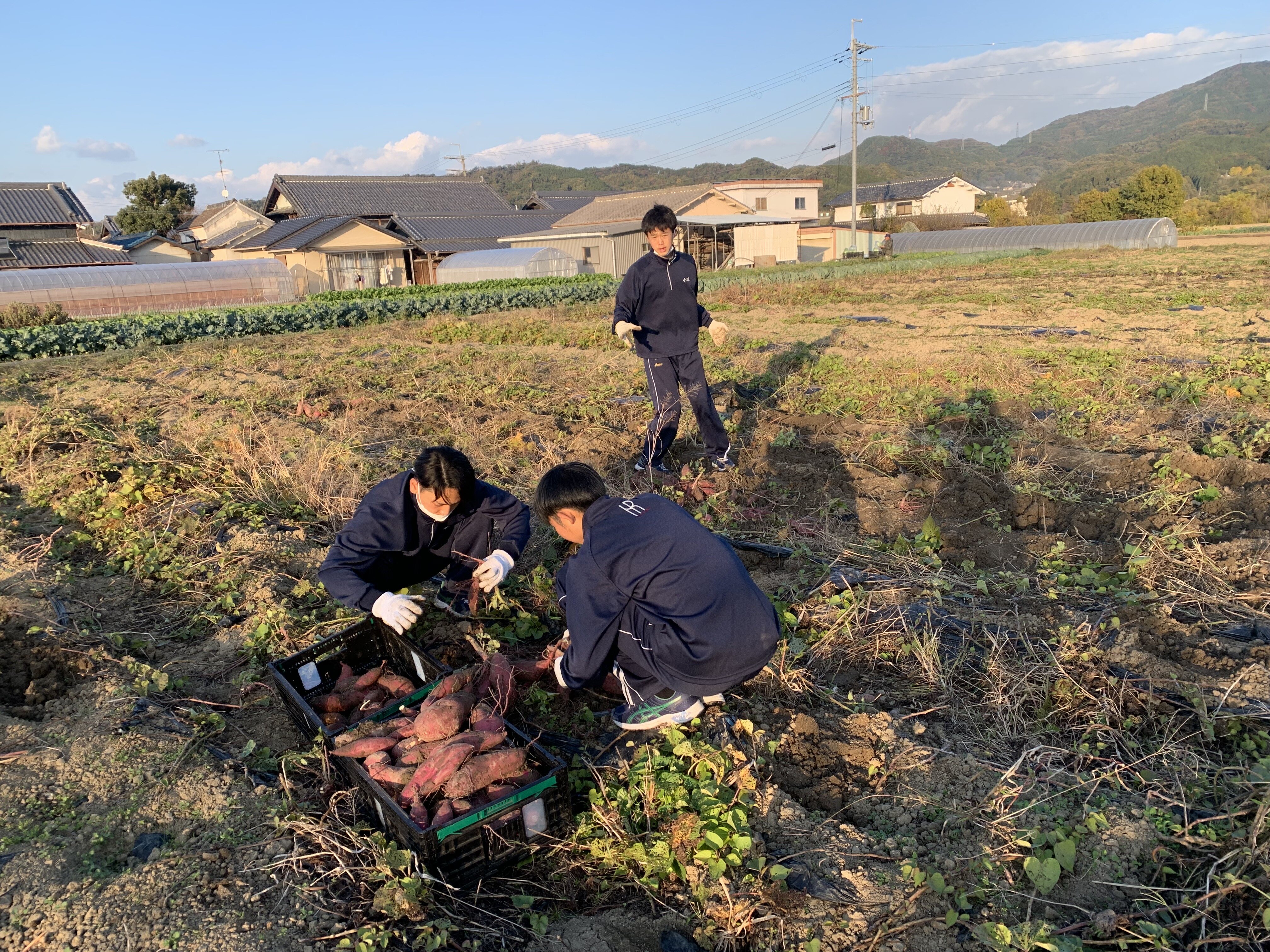 https://www.hatsushiba.ed.jp/ritsumeikan/life/5AC55F43-B46E-4D8B-BAF7-1CA943670F6E.jpeg