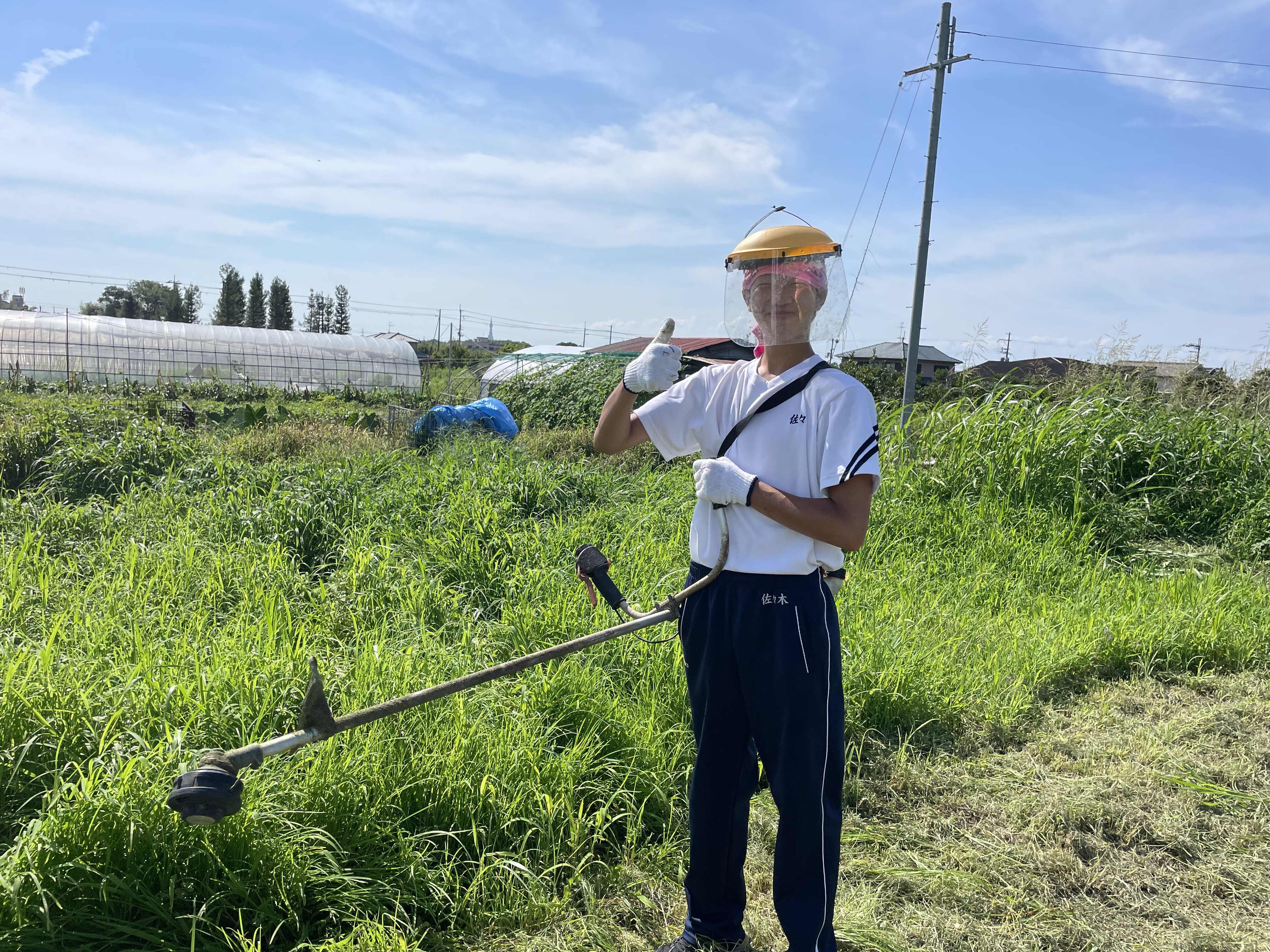 スポーツドリームビィジョン〜食育・農業・起業家・地域創生・リアルビジネス・ボランティア編〜ついに農業も始動が実現しました❣️②〜