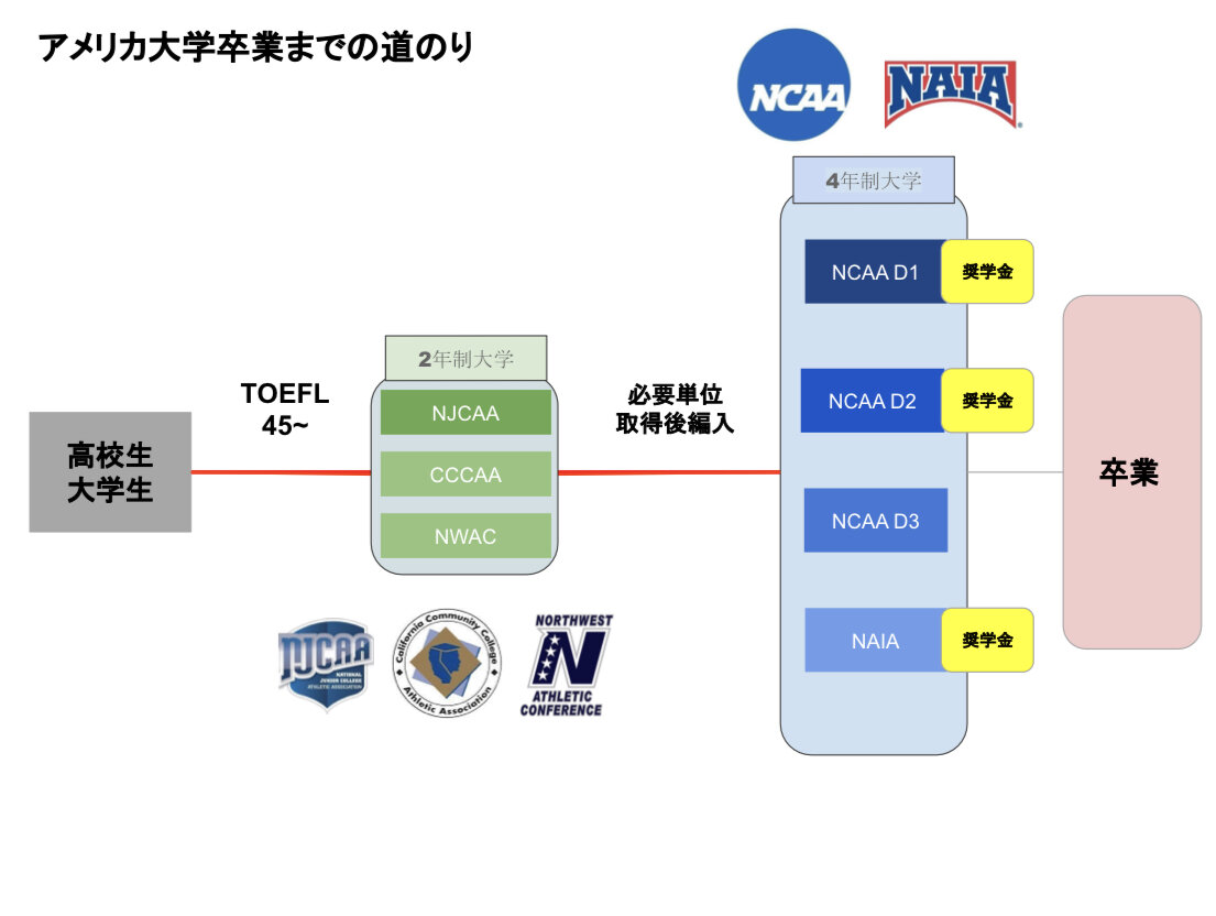 https://www.hatsushiba.ed.jp/ritsumeikan/life/729E2948-5D91-455C-BD1D-A5C5FCB67F6D.jpeg