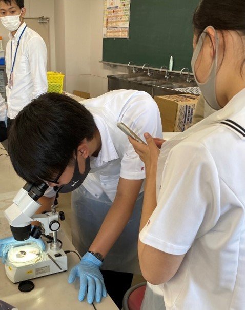 【高校２・３年】　夏期生物特別実習(希望制)