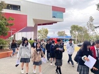 IMG_5998.jpeg