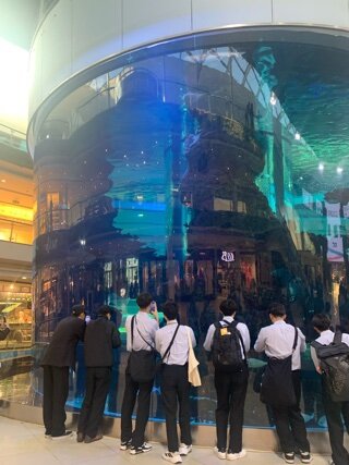 IMG_7917.jpeg