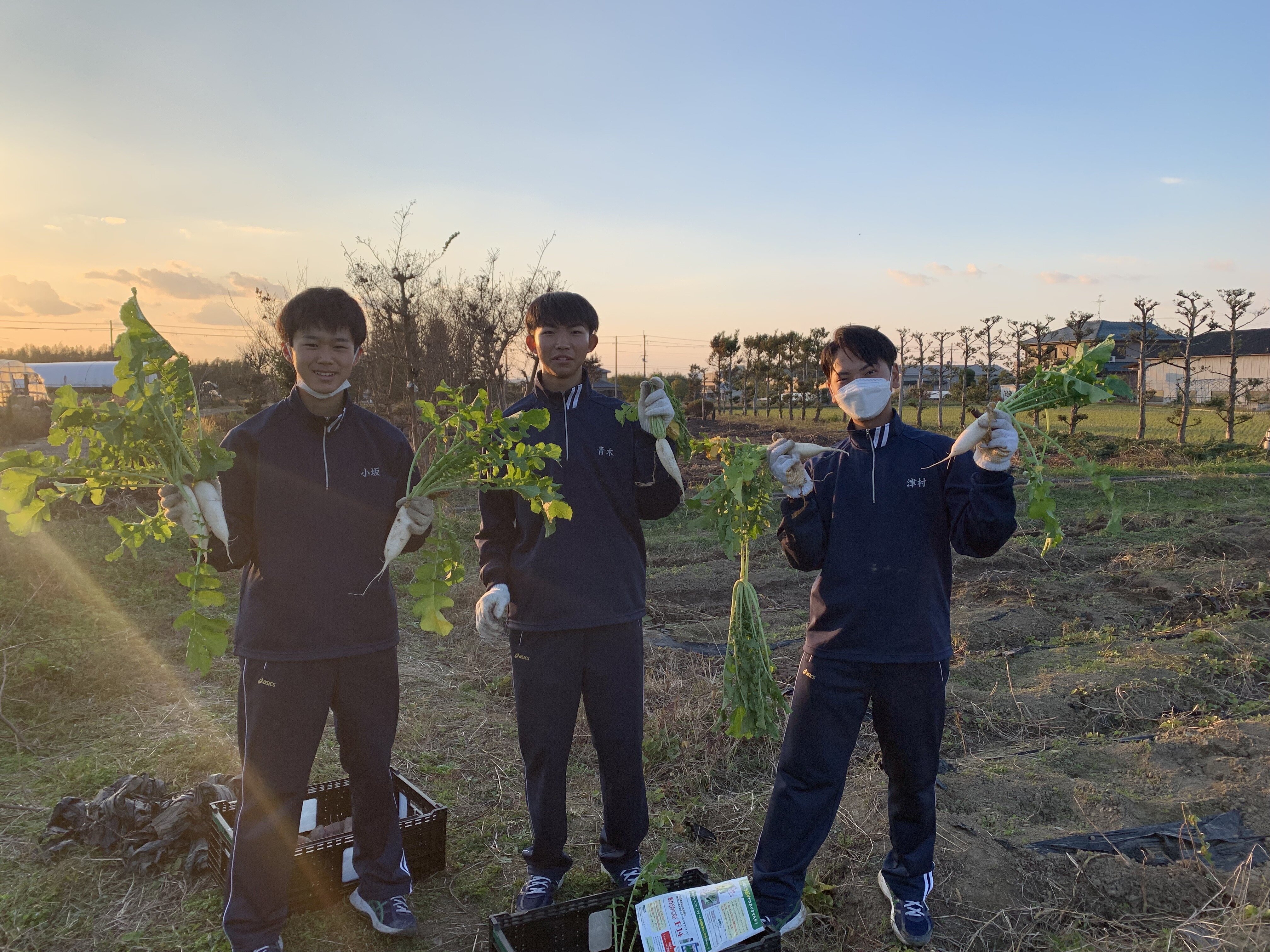 https://www.hatsushiba.ed.jp/ritsumeikan/life/B5B4E55D-A373-4283-86E2-4DE4FEB4B8A4.jpeg