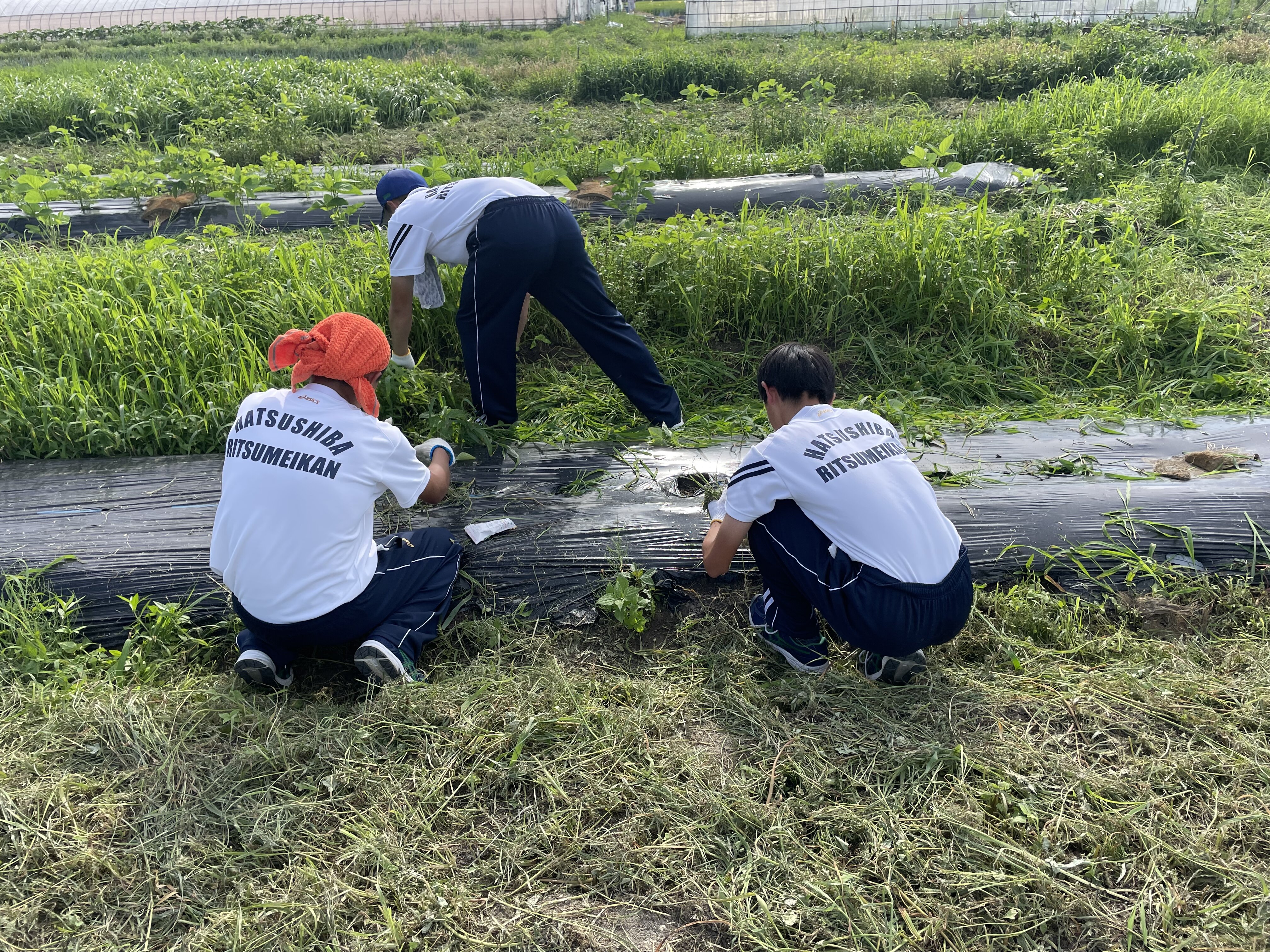 なんと地域の方々の協力もあり棚田も新規開拓できそうです❣️みんなで共創していきましょ〜う‼︎学校の可能性無限大、体育科生徒のバイタリティがあれば何でも出来る、やればわかるさ❣️笑