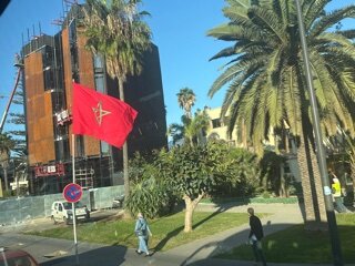 IMG_1053.jpeg
