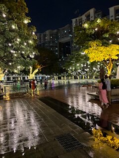 IMG_2061.jpeg