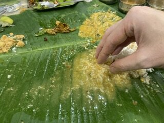 IMG_2718.jpeg