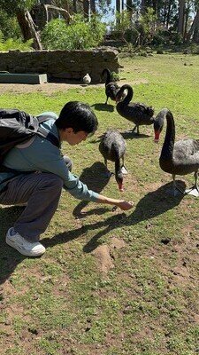 IMG_3163.jpeg
