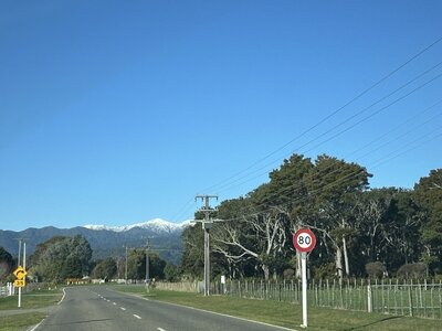 IMG_5570.jpg