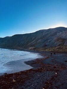 IMG_5586.jpg