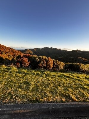 IMG_5596.jpg