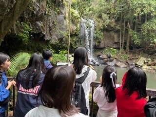 IMG_5807.jpeg