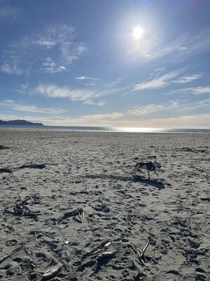 IMG_5878 2.jpg