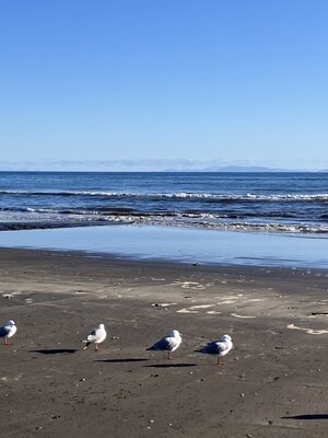 IMG_5910.jpg