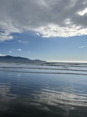 IMG_6249.jpg