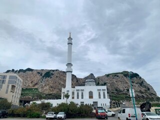 IMG_8091.jpeg