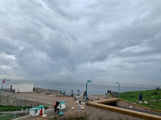 IMG_8100.jpeg
